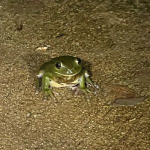 Meet your Posher, Stephen